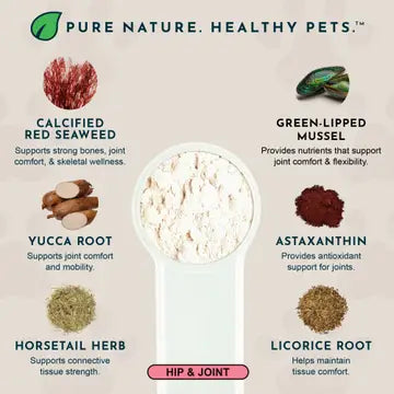 Animal Essentials Sea-Flex Powder for Healthy Joints & Mobility for Dogs & Cats, 3.5-oz