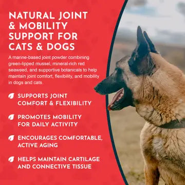 Animal Essentials Sea-Flex Powder for Healthy Joints & Mobility for Dogs & Cats, 3.5-oz