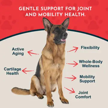 Animal Essentials Sea-Flex Powder for Healthy Joints & Mobility for Dogs & Cats, 3.5-oz