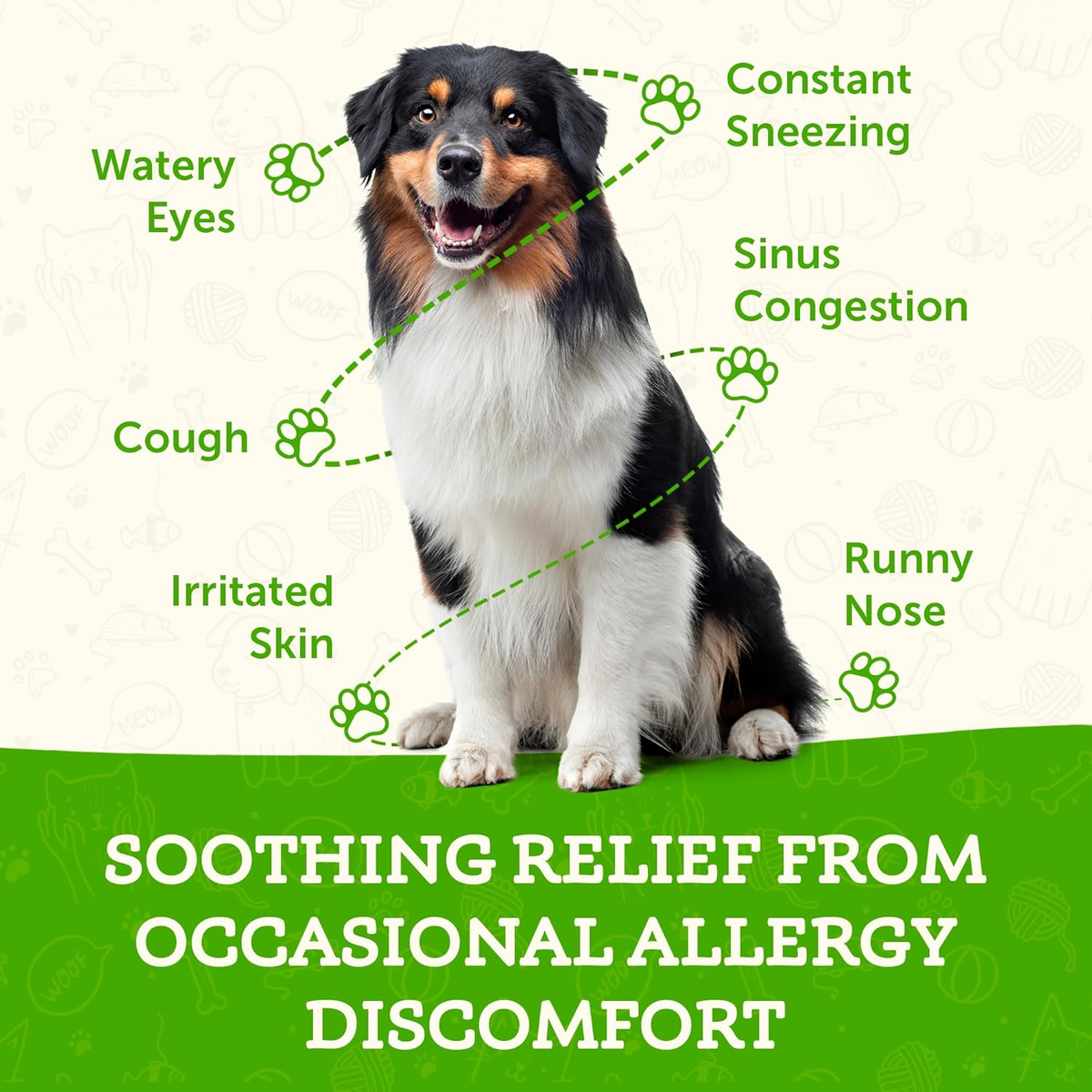 Animal Essentials Seasonal Allergy Herbal Tonic to Maintain Normal Histamine Levels for Dogs & Cats