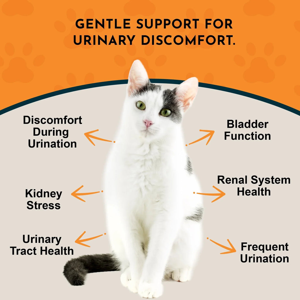 Animal Essentials Tinkle Tonic Herbal Tonic to Support Urinary Tracts System for Dogs & Cats