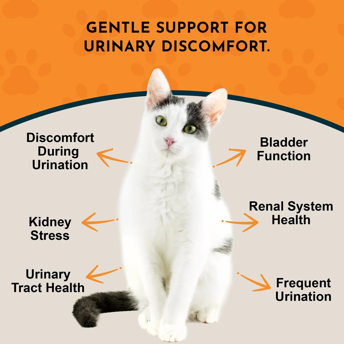Animal Essentials Tinkle Tonic Herbal Tonic to Support Urinary Tracts System for Dogs & Cats