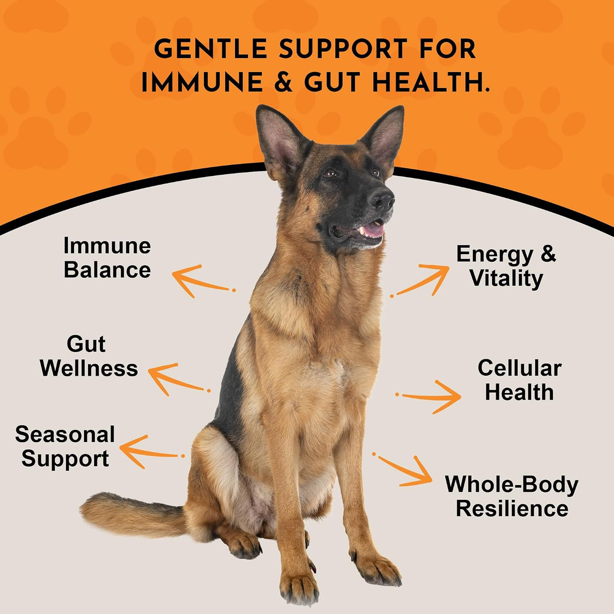 Animal Essentials Turkey Tail Mushroom Combat Immune Support for Dogs & Cats, 2.5-oz