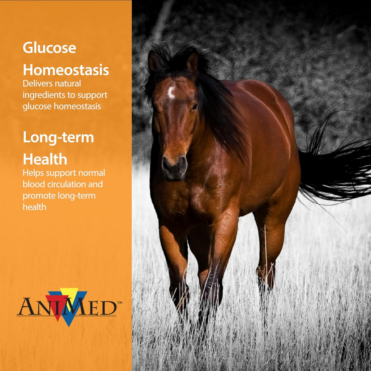 AniMed Remission For Horses