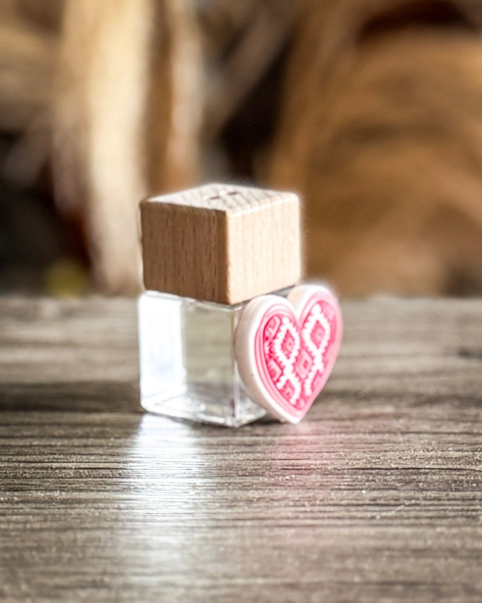 Aztec Hearts Vent Clip Diffuser in Baja Cactus