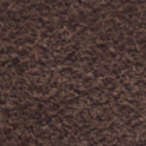 Gonzaloa-in