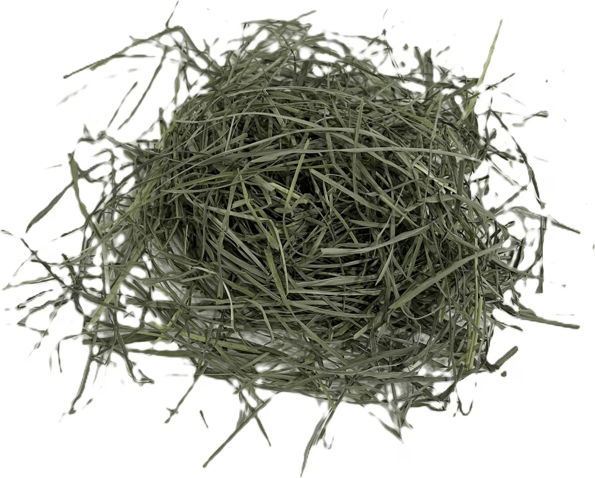 Blue Mountain Hay High-Altitude Orchard Grass Hay Easy Flake Box Horse Feed, 50-lb