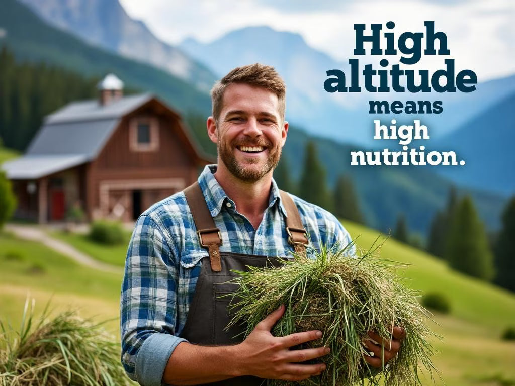 Blue Mountain Hay High-Altitude Timothy Hay Easy Flake Box Horse Feed, 50-lb
