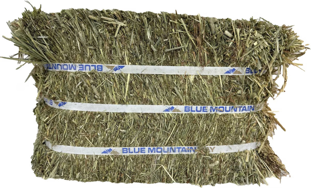 Blue Mountain Hay High-Altitude Timothy Hay Easy Flake Box Horse Feed, 50-lb