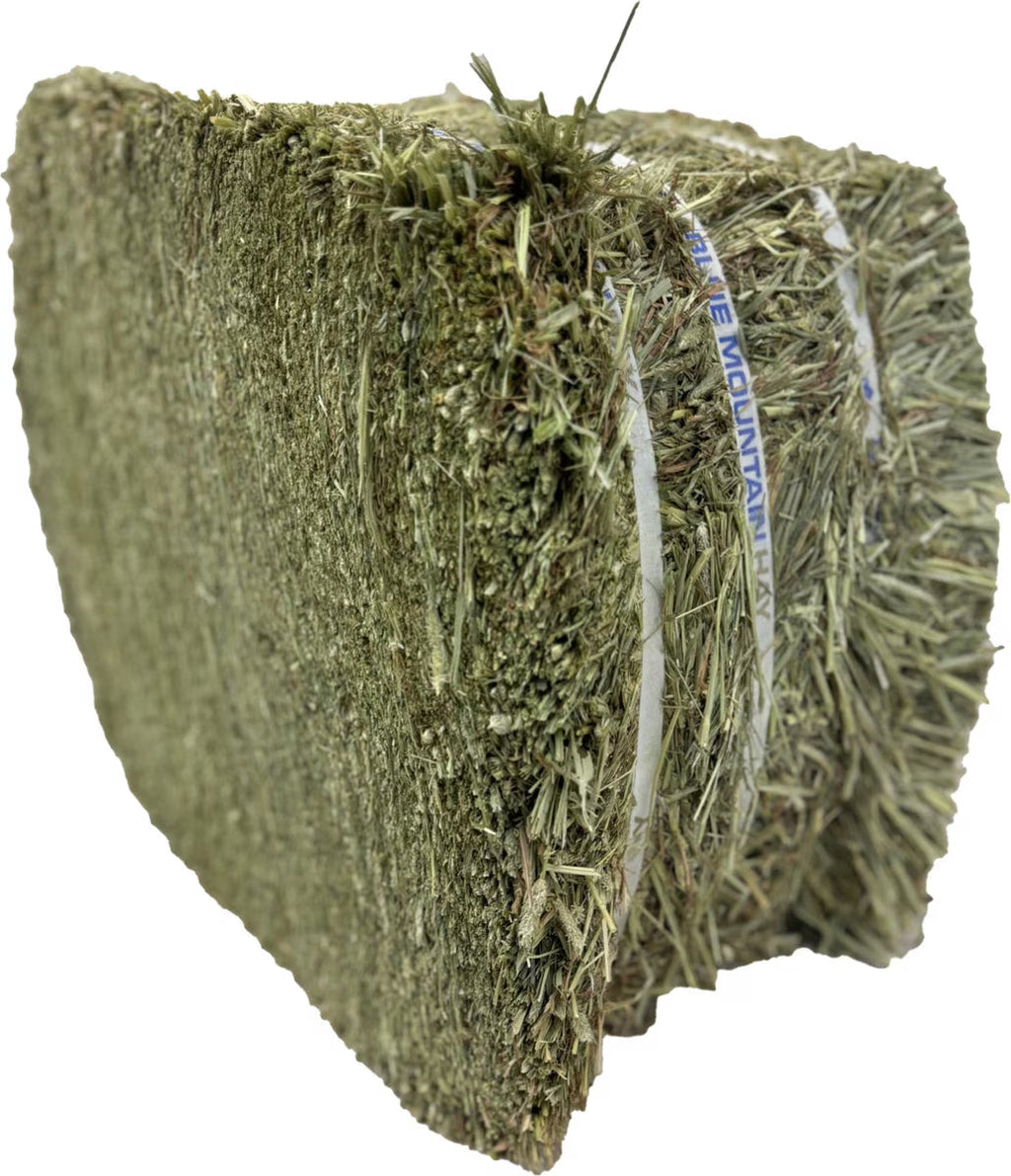 Blue Mountain Hay High-Altitude Timothy Hay Easy Flake Box Horse Feed, 50-lb