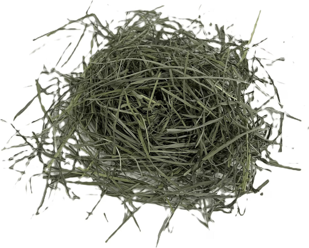 Blue Mountain Hay Orchard Grass Hay Small Animal Food