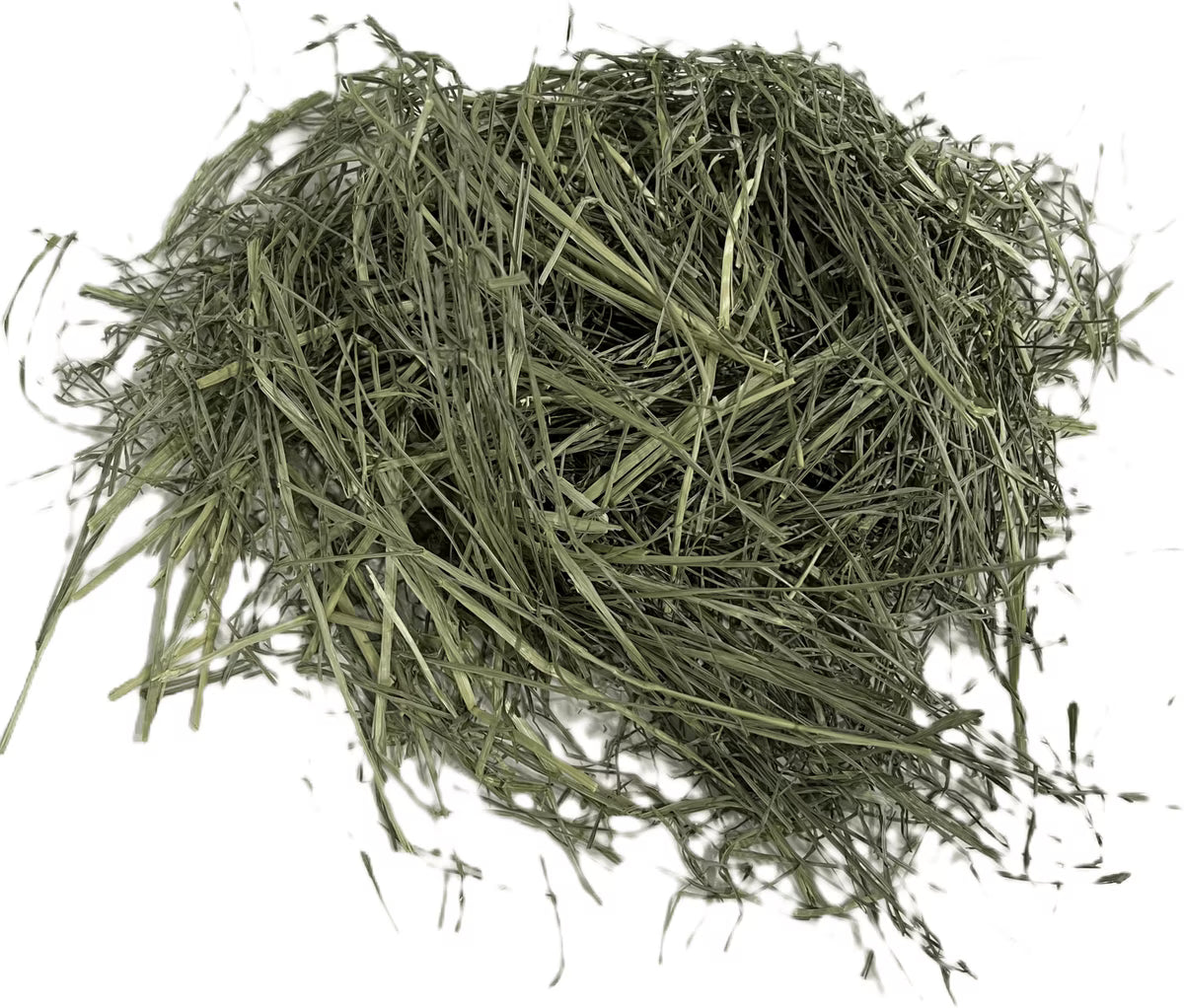 Blue Mountain Hay Teff Grass Hay Small Animal Food