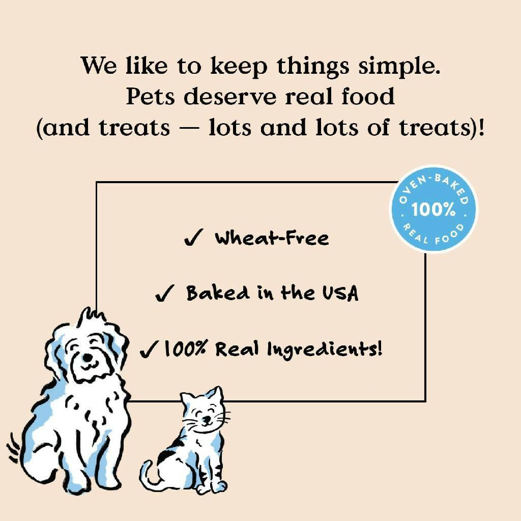 Bocce's Bakery Basics Salmon Soft & Chewy Treats For Dogs (6 oz)