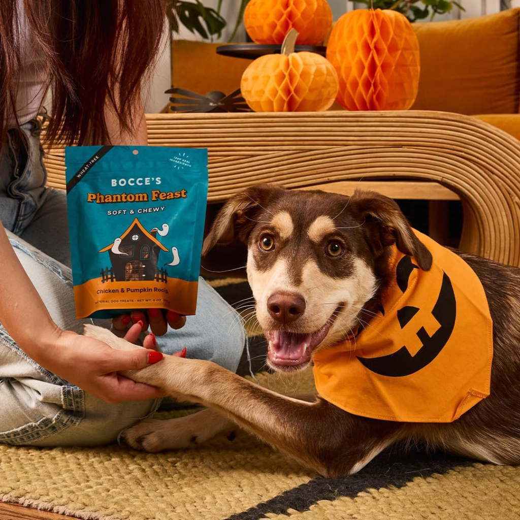Bocce's Bakery Phantom Feast Soft & Chewy Dog Treats, 6-oz