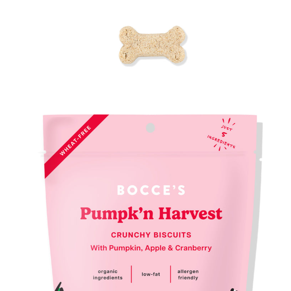 Bocce's Bakery Pumpk'n Harvest Pumpkin, Apple, & Cranberry Crunchy Biscuit Dog Treats (12 oz)