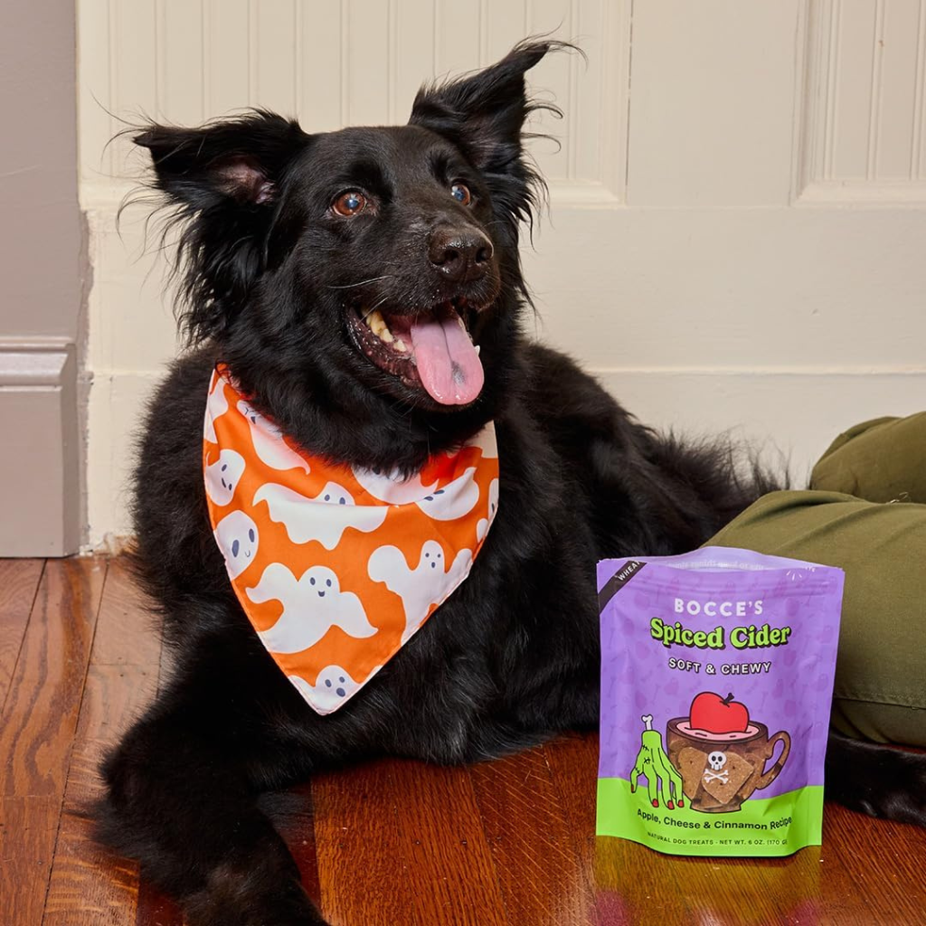 Bocce's Bakery Spice Cider Soft & Chewy Dog Treats, 6-oz