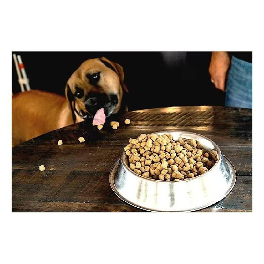 Boss Dog Complete & Balanced Freeze-Dried Raw Diet for Dogs Fish Recipe (12 oz)