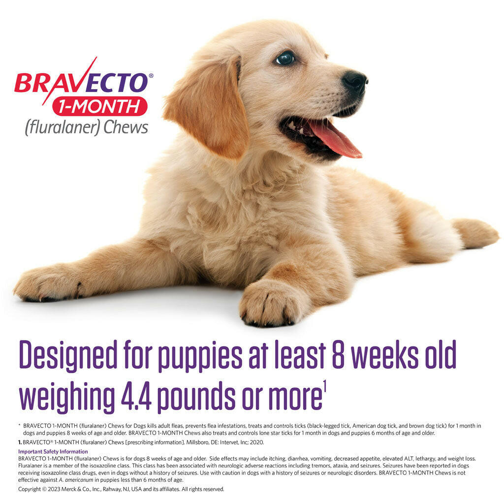 Bravecto 1-Month Chew for Dogs 44-88 lbs (Blue Box)