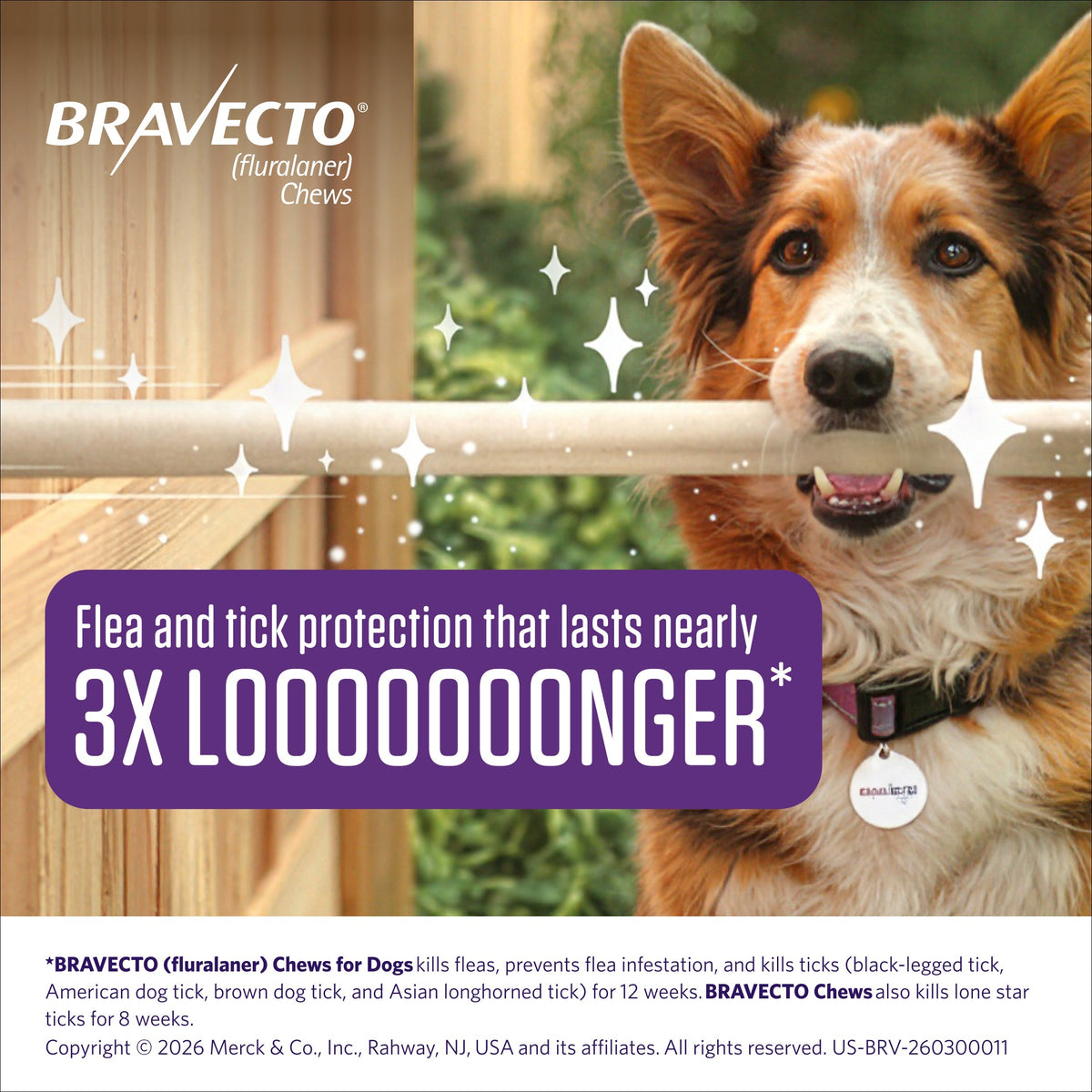 Bravecto Chews for Extra-Small Dogs 4.4-9.9 lbs (Yellow Box)