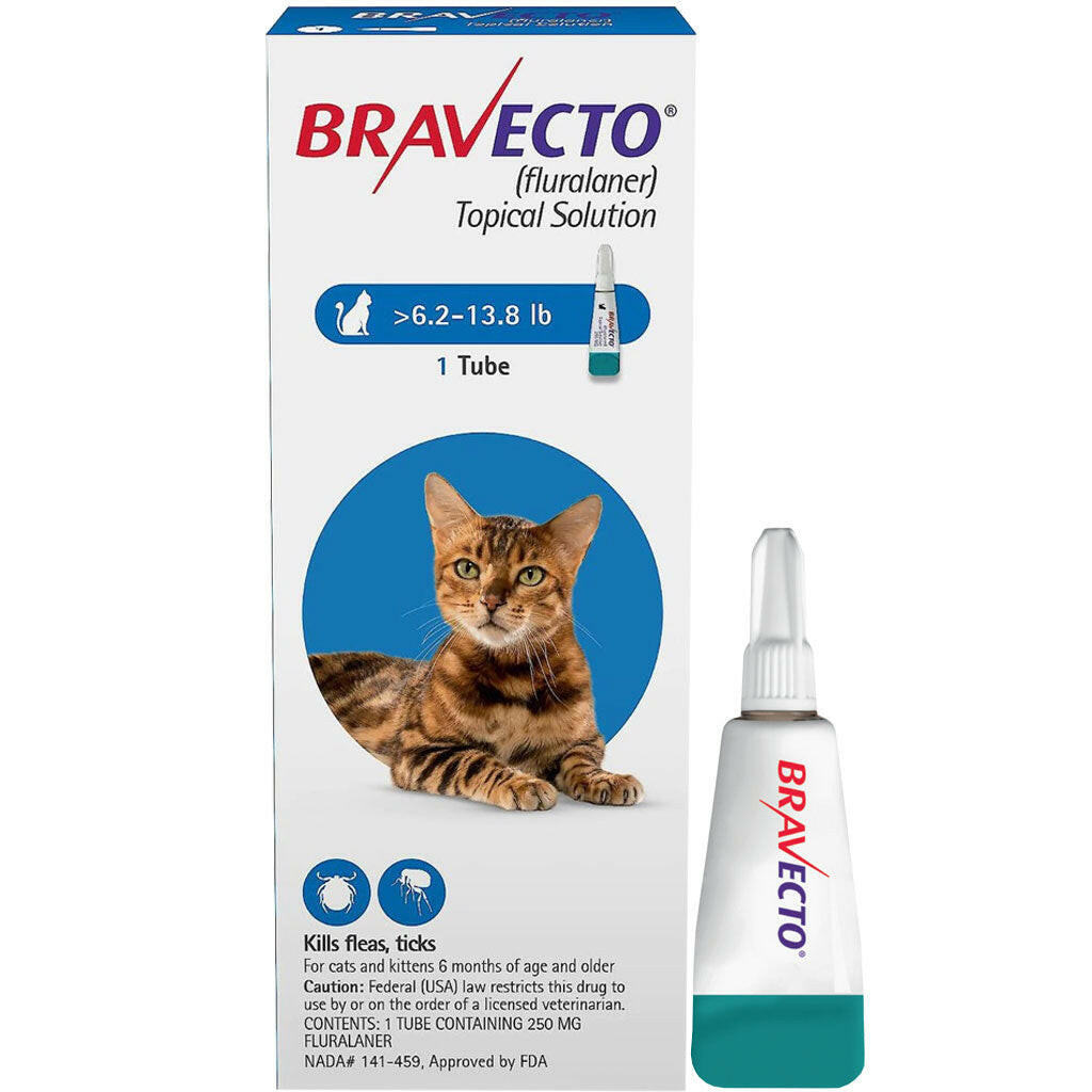 Bravecto Topical Solution for Medium Cats 6.2-13.8 lbs
