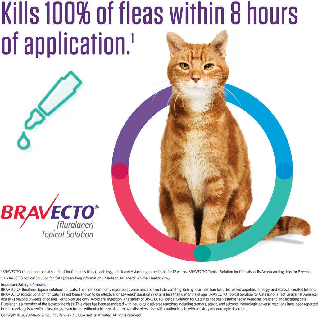 Bravecto Topical Solution for Medium Cats 6.2-13.8 lbs