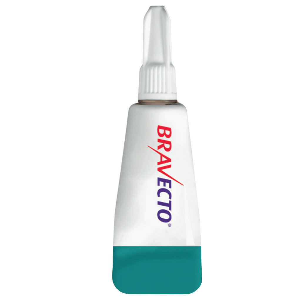 Bravecto Topical Solution for Medium Cats 6.2-13.8 lbs