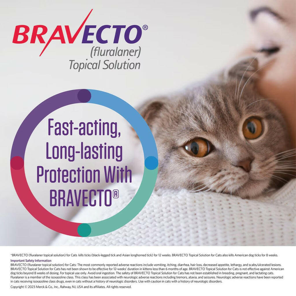 Bravecto Topical Solution for Medium Cats 6.2-13.8 lbs