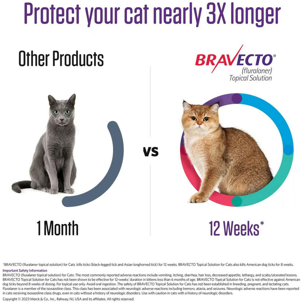 Bravecto Topical Solution for Medium Cats 6.2-13.8 lbs
