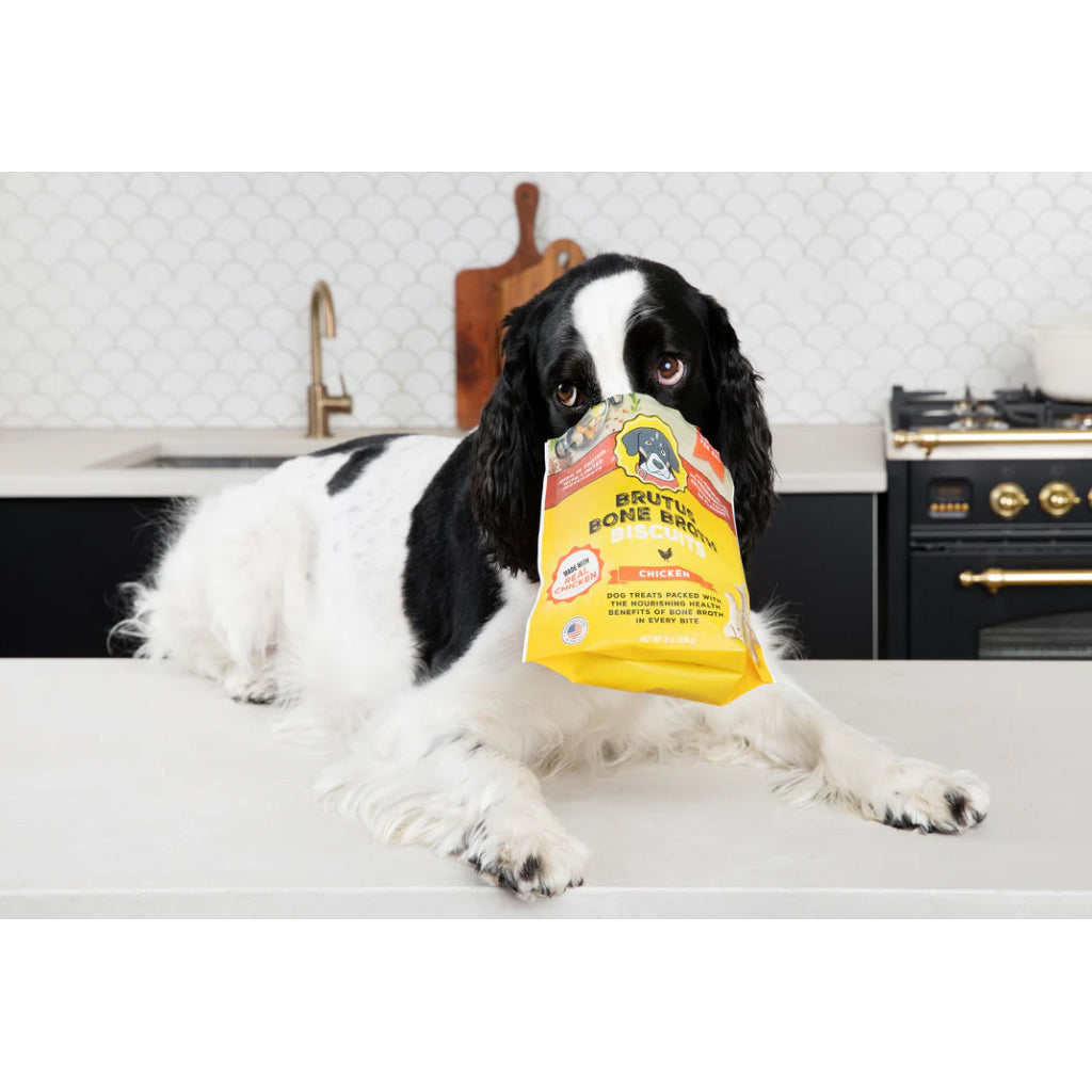 Brutus Broth Bone Broth Biscuits Chicken Recipe Dog Treats (8 oz)