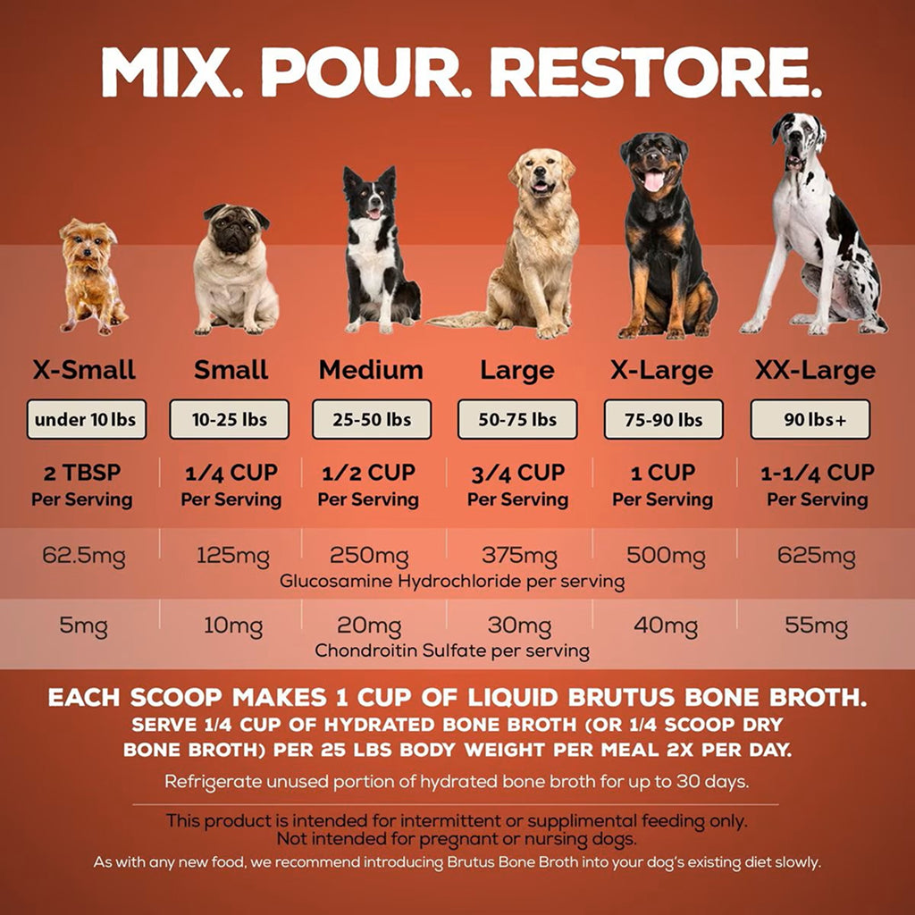 Brutus Broth "On the Go" Instant Beef Bone Broth Sticks Hip & Joint Formula with Glucosamine for Dogs (5 count)