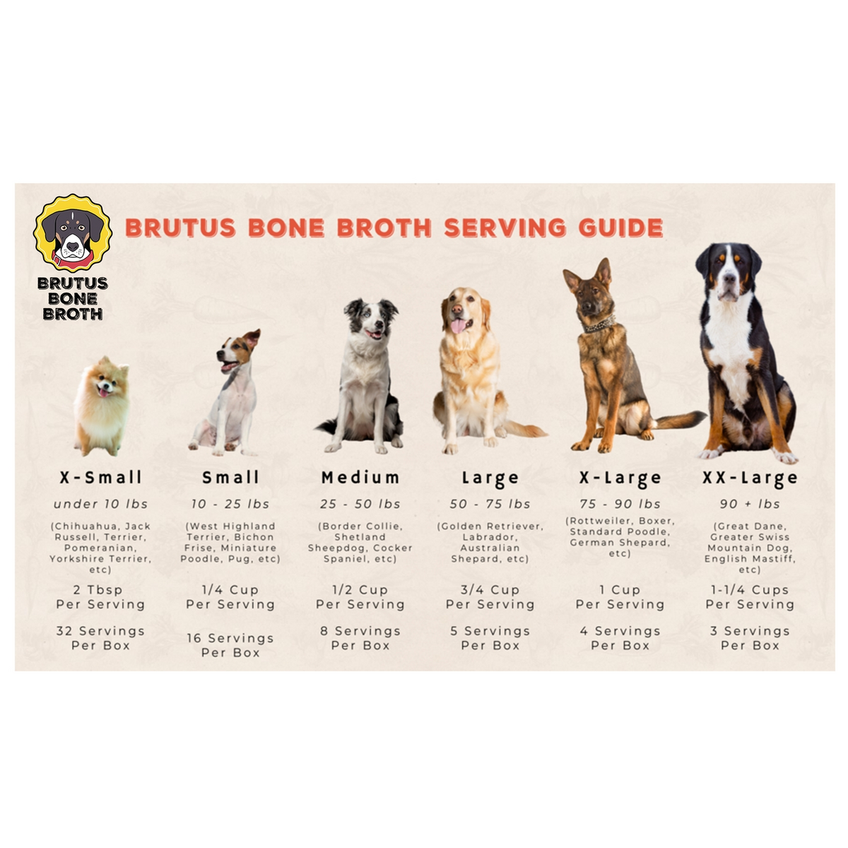 Brutus Broth Pork Bone Broth Hip & Joint Formula with Glucosamine for Dogs (32 oz)