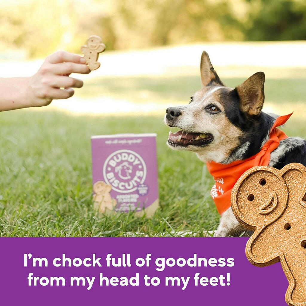 Buddy Biscuits Oven Baked Crunchy Chicken, Grilled Beef, and Sharp Cheddar Dog Treats (16 oz)