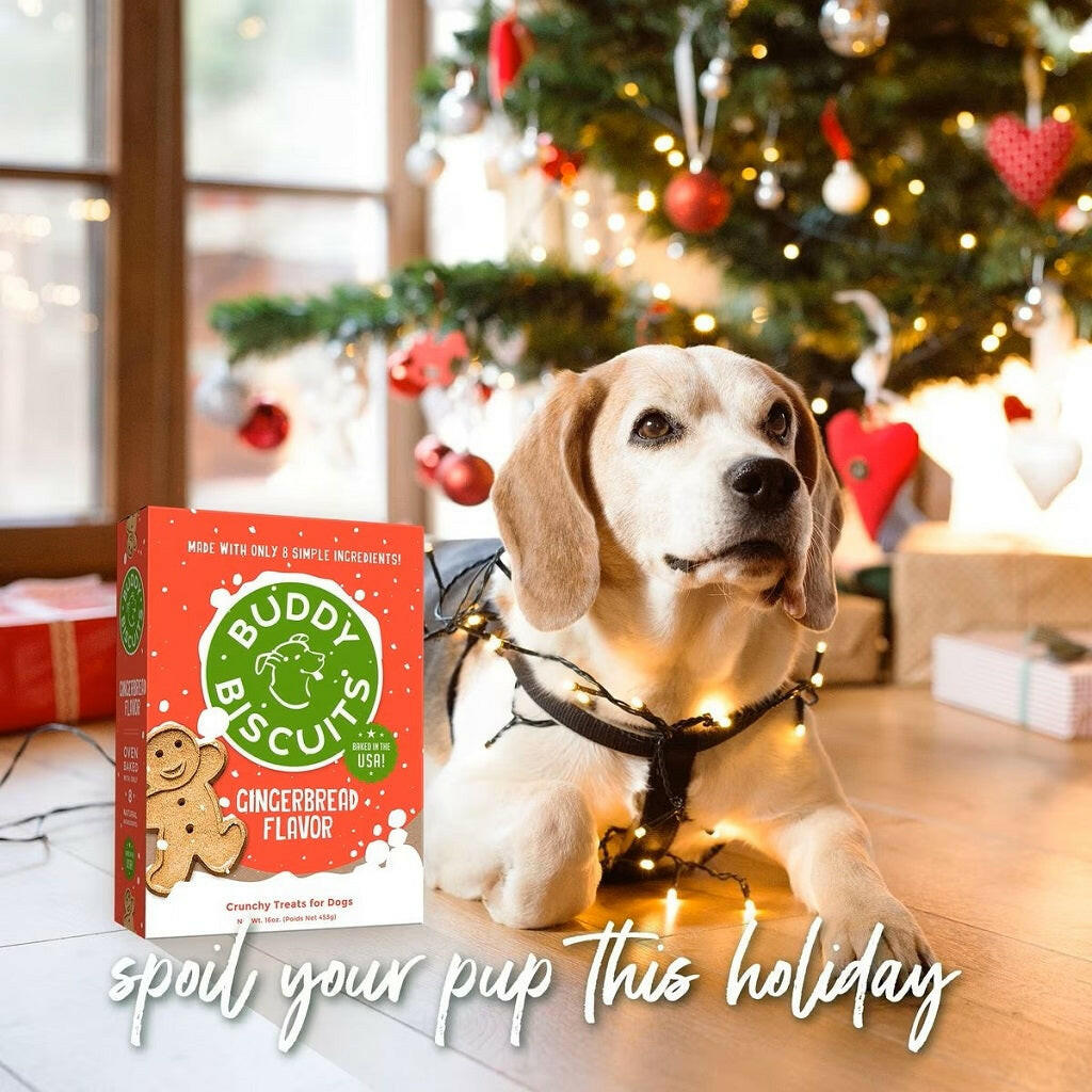 Buddy Biscuits Oven Baked Crunchy Holiday Gingerbread Dog Treats (16 oz)