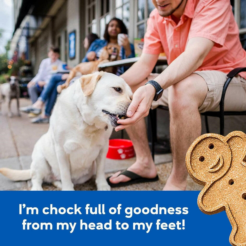 Buddy Biscuits Soft & Chewy Bacon & Cheese Dog Treats