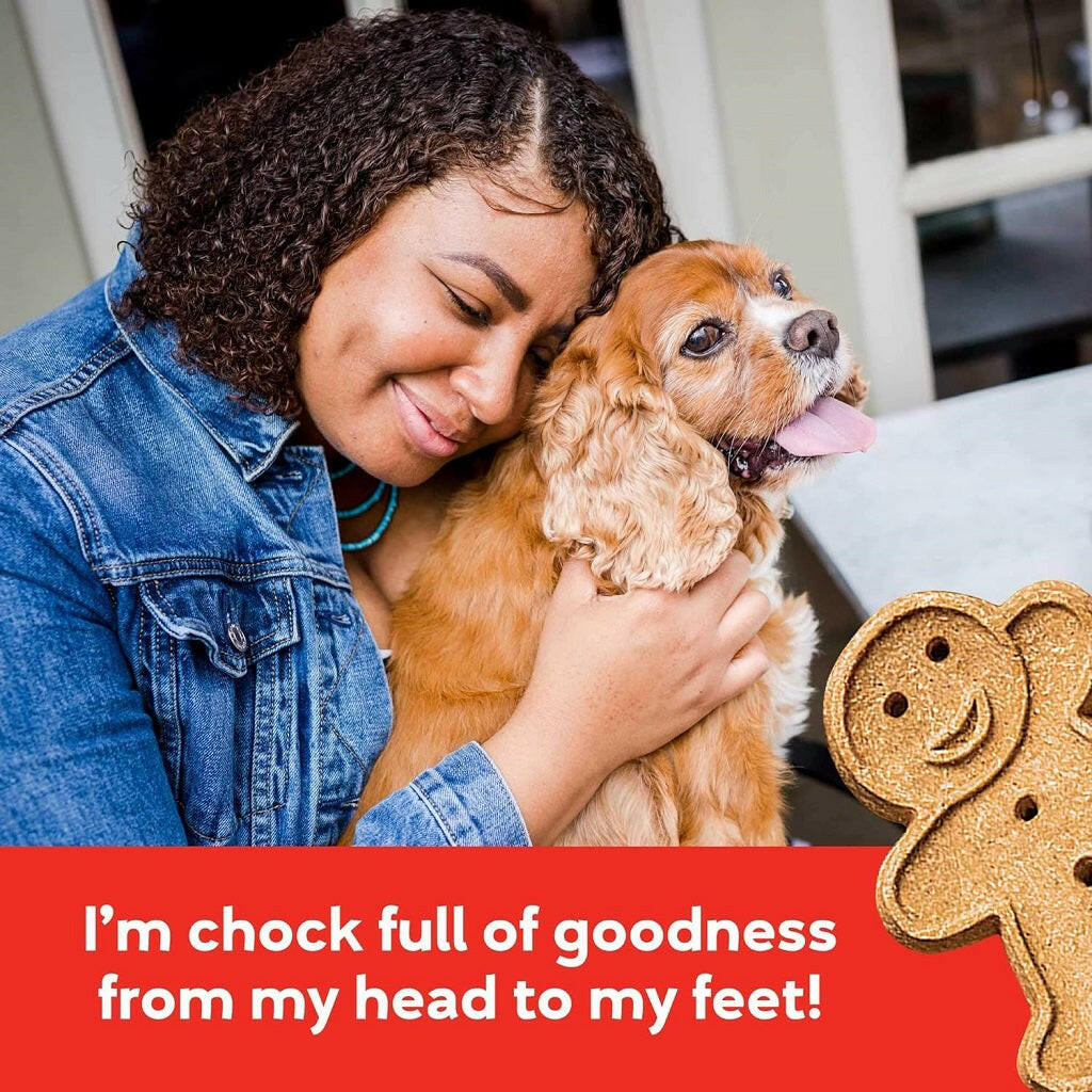 Buddy Biscuits Soft & Chewy Grain Free Grilled Beef Dog Treats (5 oz)
