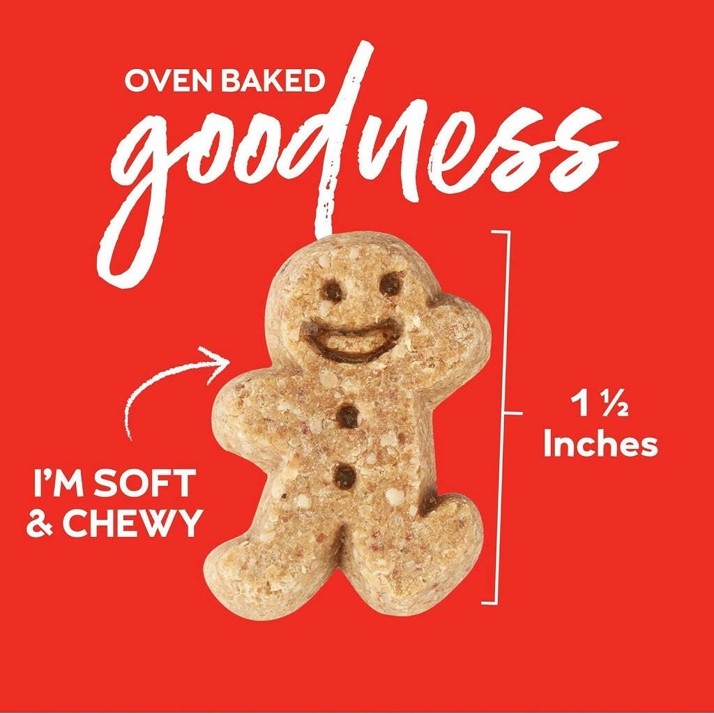 Buddy Biscuits Soft & Chewy Grain Free Grilled Beef Dog Treats (5 oz)