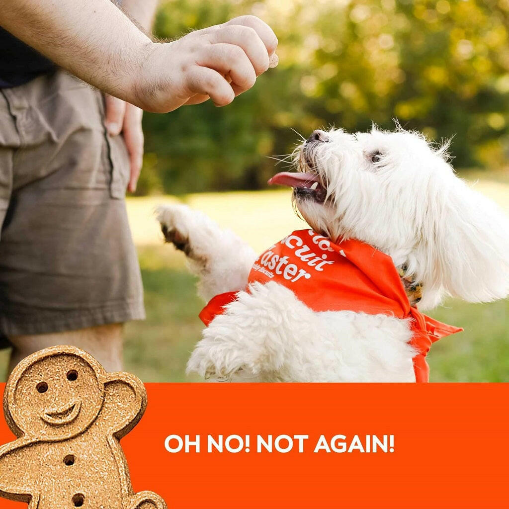 Buddy Biscuits Soft & Chewy Grain Free Peanut Butter Dog Treats (5 oz)