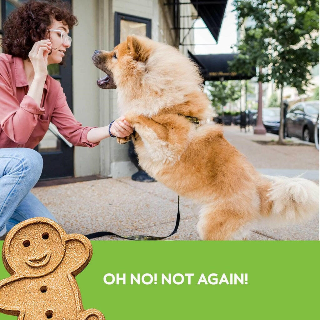 Buddy Biscuits Soft & Chewy Grain Free Roasted Chicken Dog Treats (5 oz)
