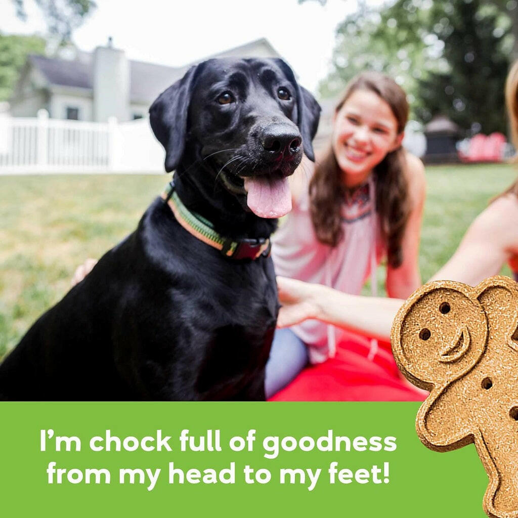 Buddy Biscuits Soft & Chewy Grain Free Roasted Chicken Dog Treats (5 oz)