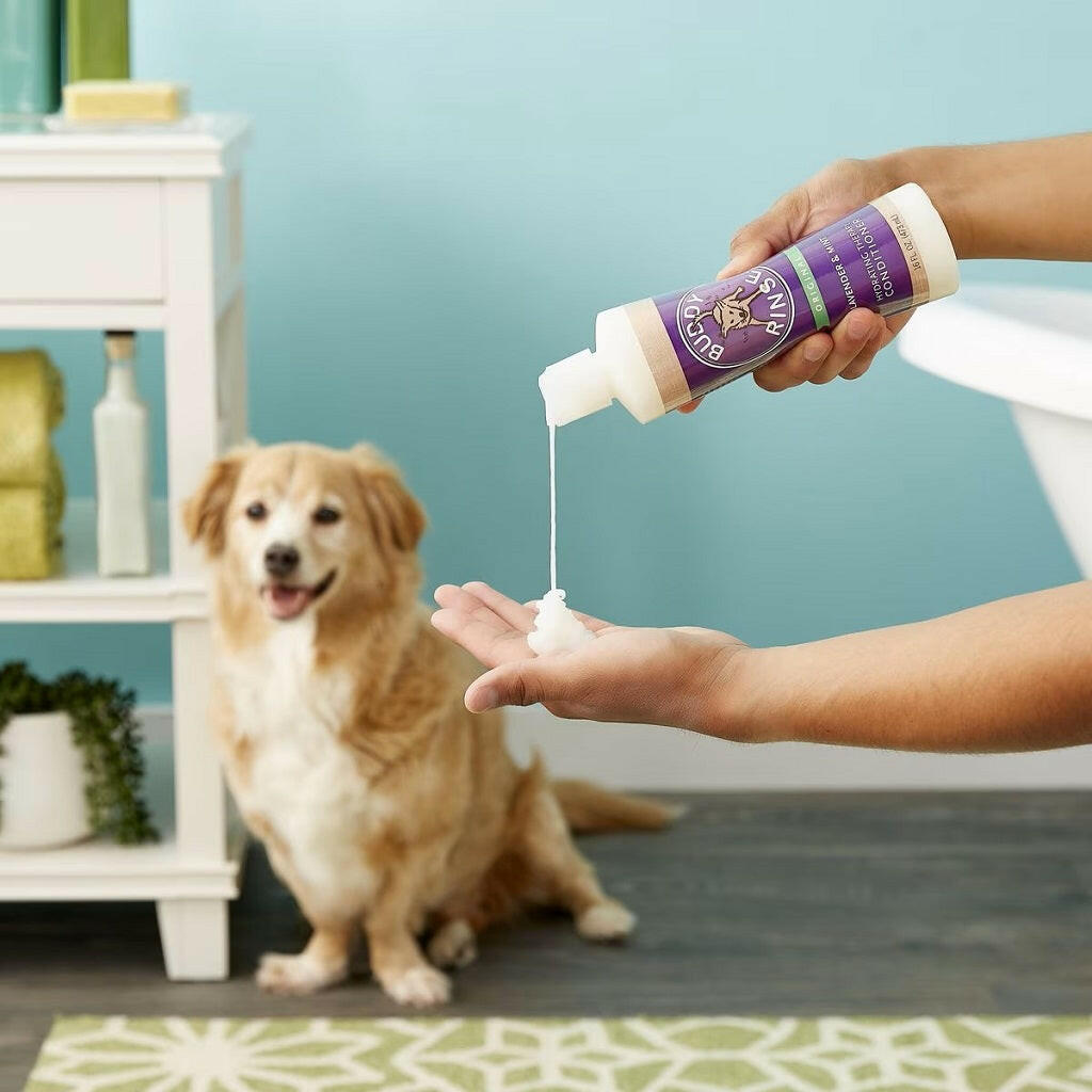 Buddy Rinse Lavender & Mint Hydrating Therapy Conditioner For Dogs (16 oz)