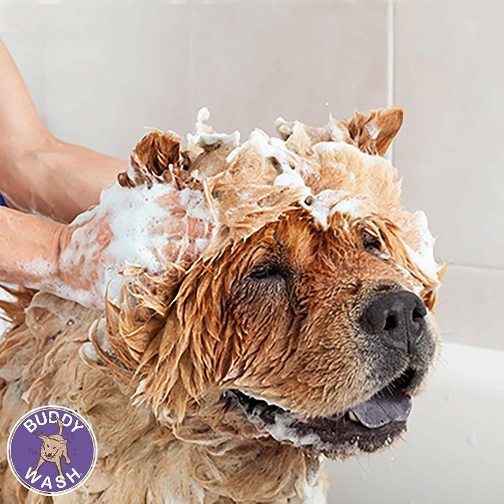 Buddy Wash Original Lavender & Mint Dog 2-in-1 Shampoo + Conditioner
