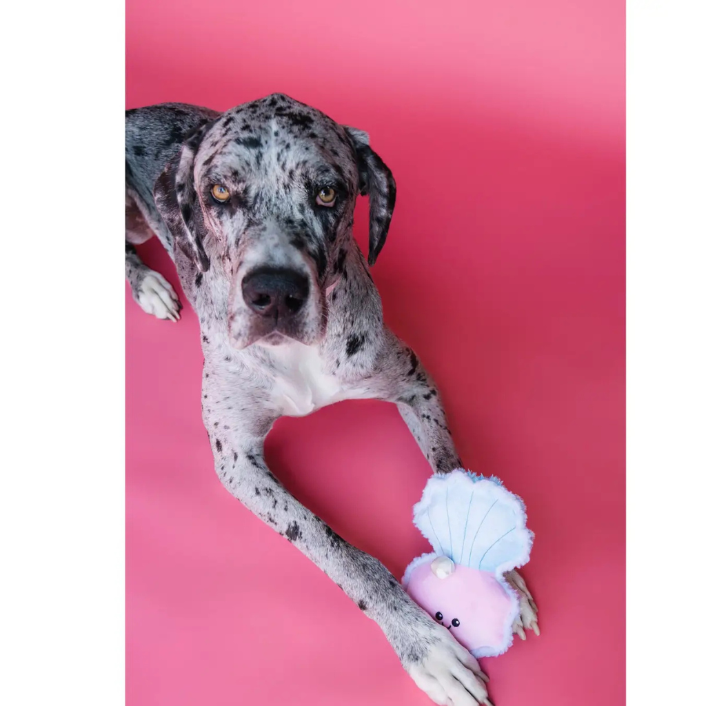 Bundle x Joy Oyster & Pearl Crinkle & Squeak Dog Toy