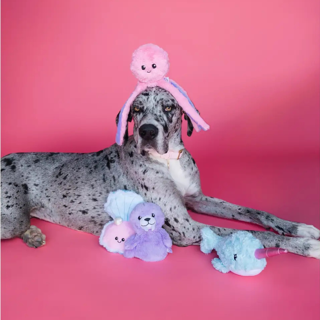 Bundle x Joy Walrus Cone Crinkle & Squeak Dog Toy
