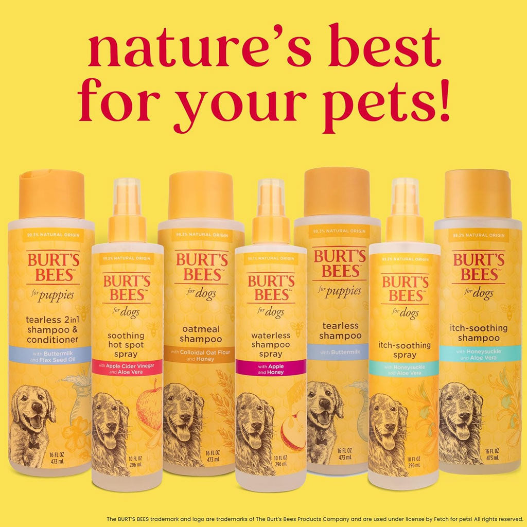 Burt's Bees Itch Soothing Spray with Honeysuckle for Dogs, 10-oz