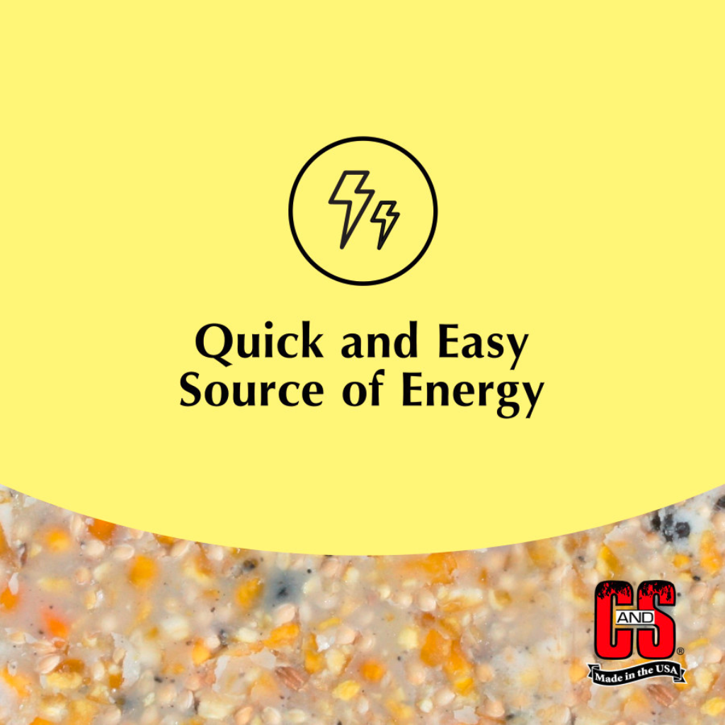 C&S High Energy Suet Treat for Wild Birds (11.75 oz)