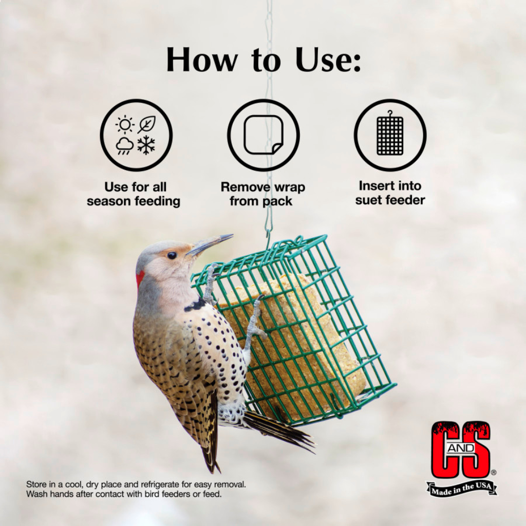 C&S High Energy Suet Treat for Wild Birds (11.75 oz)
