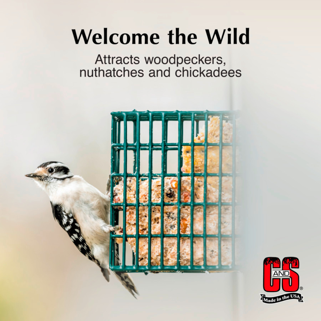 C&S High Energy Suet Treat for Wild Birds (11.75 oz)