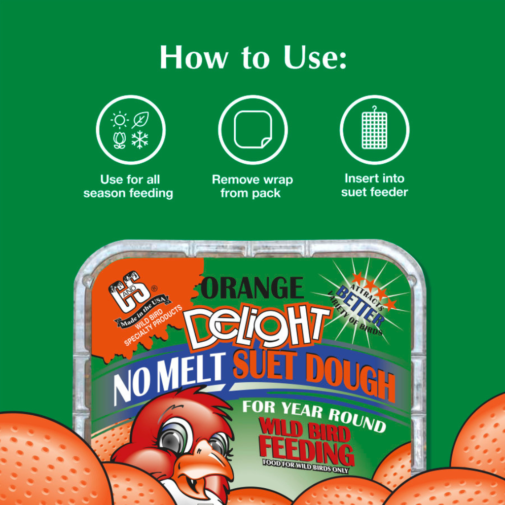 C&S No Melt Suet Dough for Wild Birds (11.75 oz)