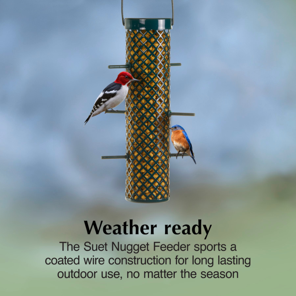 C&S Suet Nugget Feeder, 8-pack