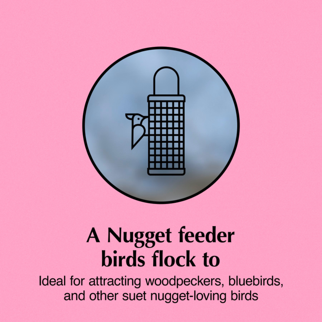 C&S Suet Nugget Feeder, 8-pack